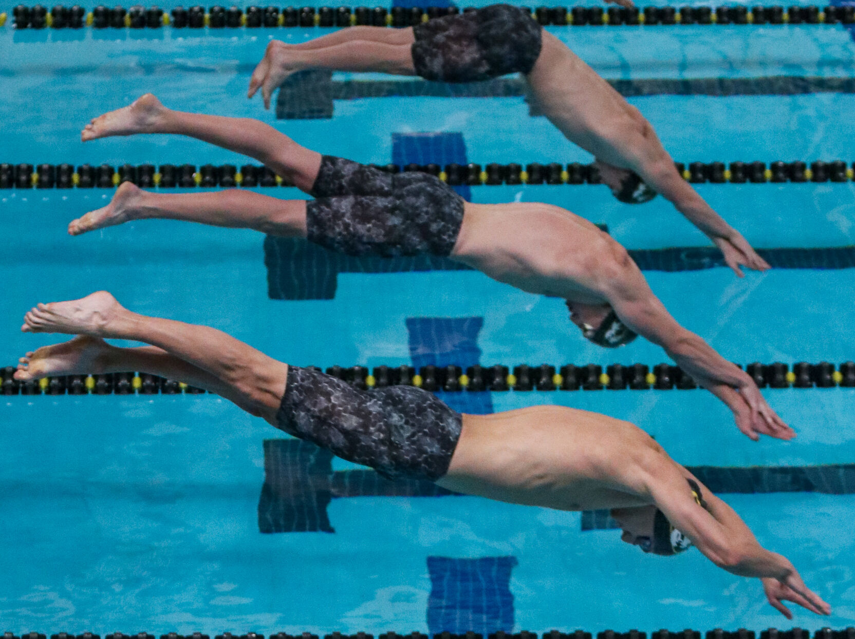 Swimmers from the University of Missouri dive